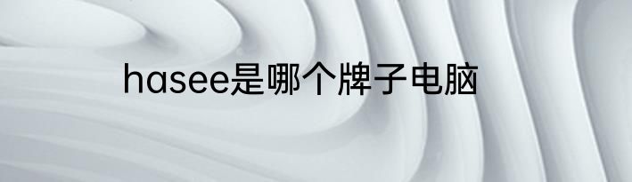 hasee是哪个牌子电脑