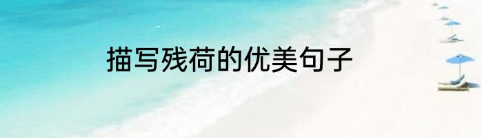 描写残荷的优美句子