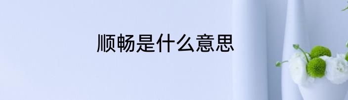 顺畅是什么意思
