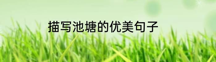 描写池塘的优美句子