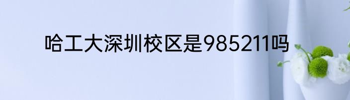 哈工大深圳校区是985211吗