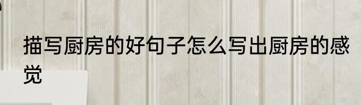 描写厨房的好句子怎么写出厨房的感觉