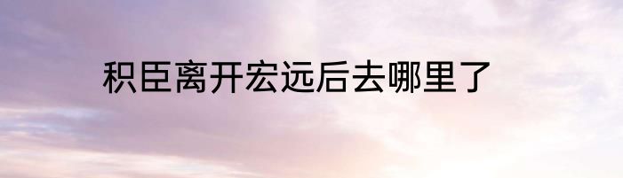 积臣离开宏远后去哪里了