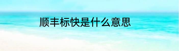 顺丰标快是什么意思