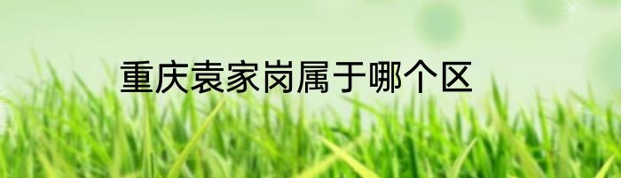 重庆袁家岗属于哪个区