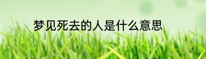 梦见死去的人是什么意思
