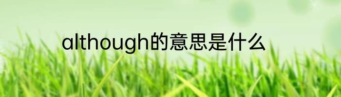 although的意思是什么