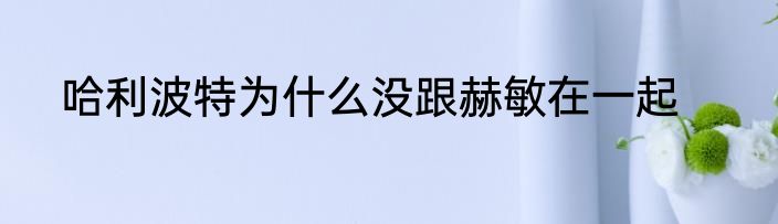 哈利波特为什么没跟赫敏在一起