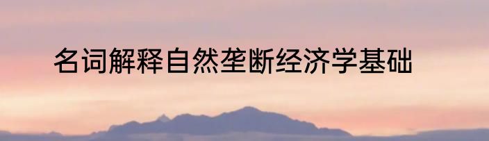 名词解释自然垄断经济学基础
