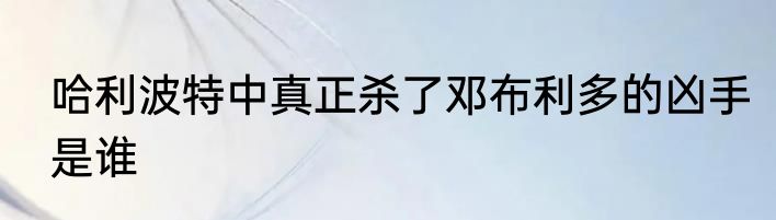 哈利波特中真正杀了邓布利多的凶手是谁