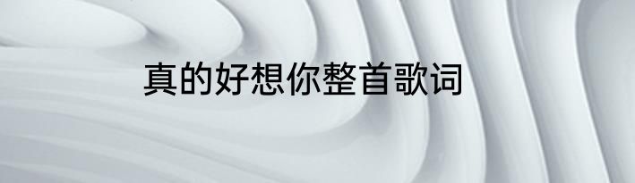 真的好想你整首歌词
