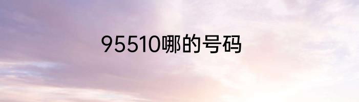 95510哪的号码