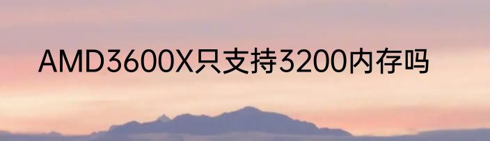 AMD3600X只支持3200内存吗