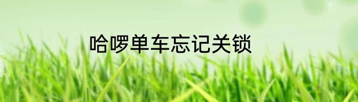 哈啰单车忘记关锁