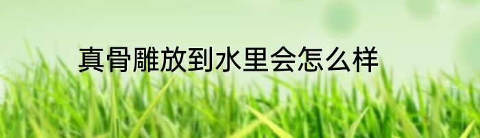 真骨雕放到水里会怎么样