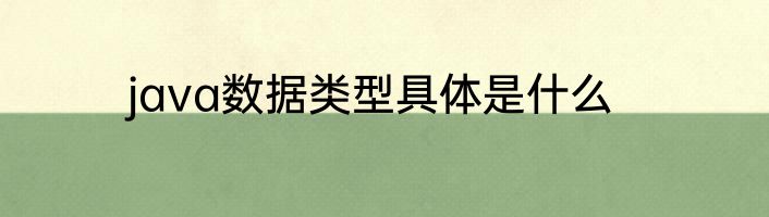 java数据类型具体是什么