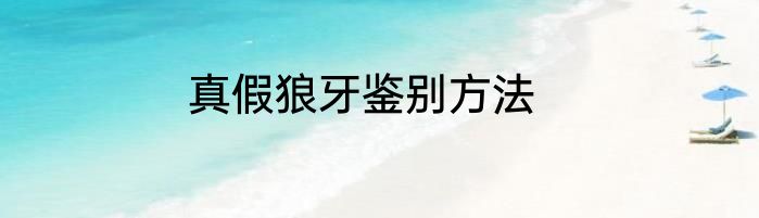 真假狼牙鉴别方法
