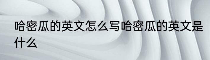 哈密瓜的英文怎么写哈密瓜的英文是什么
