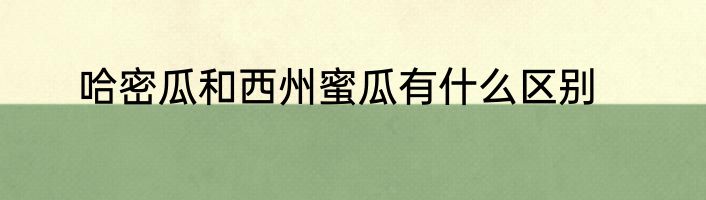 哈密瓜和西州蜜瓜有什么区别