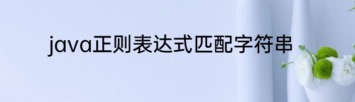 java正则表达式匹配字符串