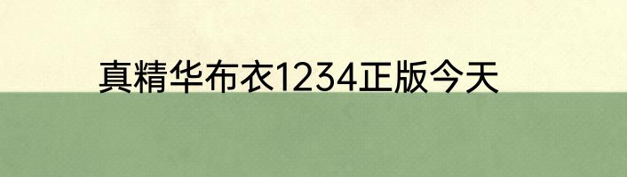 真精华布衣1234正版今天