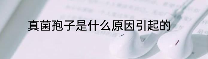 真菌孢子是什么原因引起的