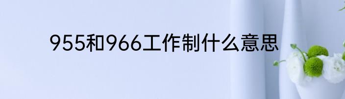 955和966工作制什么意思