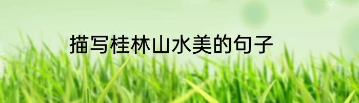 描写桂林山水美的句子