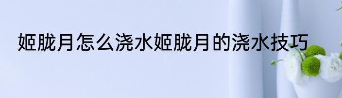 姬胧月怎么浇水姬胧月的浇水技巧