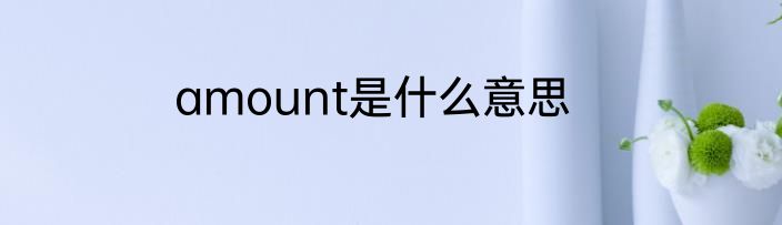 amount是什么意思