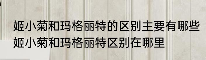姬小菊和玛格丽特的区别主要有哪些姬小菊和玛格丽特区别在哪里