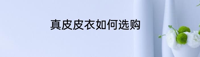 真皮皮衣如何选购