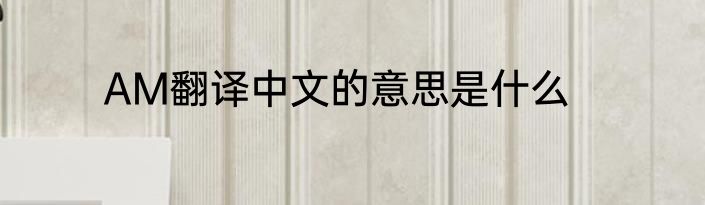 AM翻译中文的意思是什么