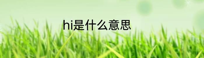 hi是什么意思