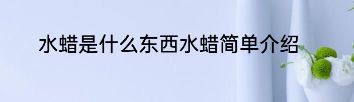 水蜡是什么东西水蜡简单介绍