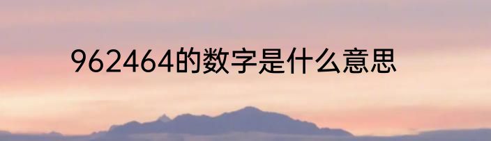 962464的数字是什么意思