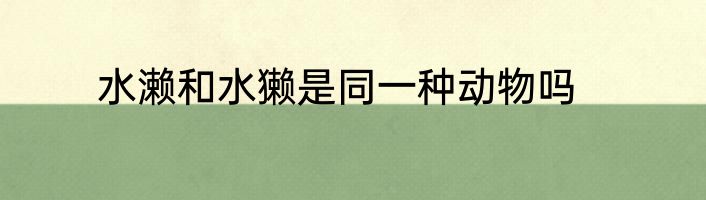 水濑和水獭是同一种动物吗