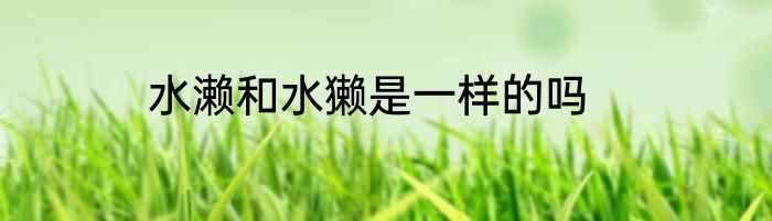 水濑和水獭是一样的吗
