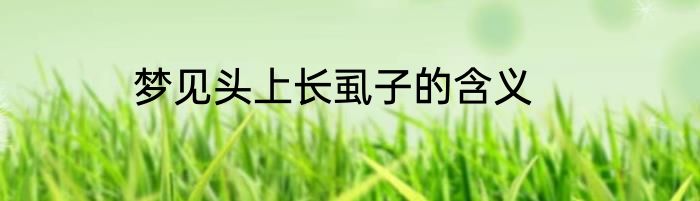 梦见头上长虱子的含义