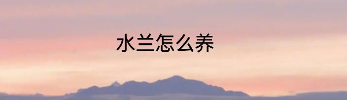 水兰怎么养