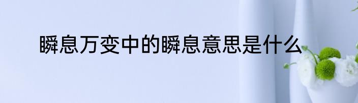 瞬息万变中的瞬息意思是什么