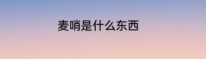 麦哨是什么东西