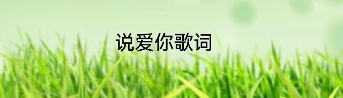说爱你歌词
