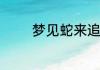 梦见蛇来追自己是什么意思
