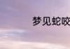 梦见蛇咬人是什么预兆