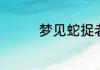 梦见蛇捉老鼠是什么意思
