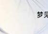 梦见身上很脏