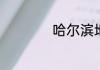 哈尔滨地震了吗刚才