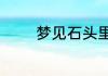 梦见石头里有玉是什么意思