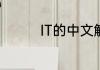IT的中文解释是什么意思
